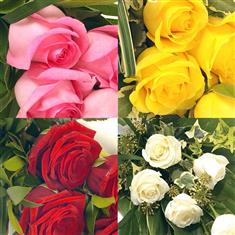 3 Rose Spray - Choose Colour