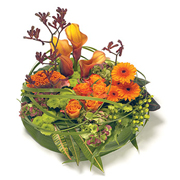 Loose Based Posy Orange, Green &amp; Bronze