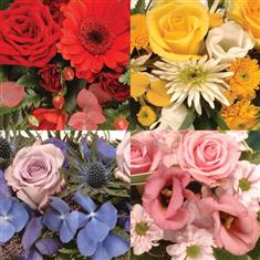 Traditional Round Wreath - Choose Colour