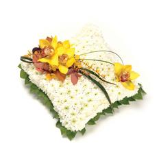 Based Cushion Yellow &amp; Orange