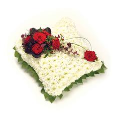 Based Cushion Red &amp; White