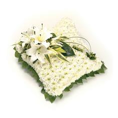 Based Cushion Green &amp; White